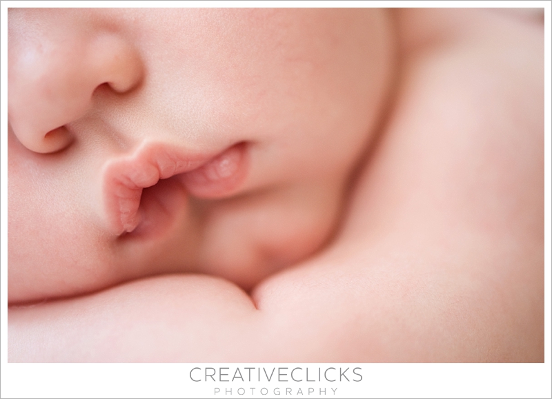 Niagara-Professional-Newborn-Photographers_0466.jpg