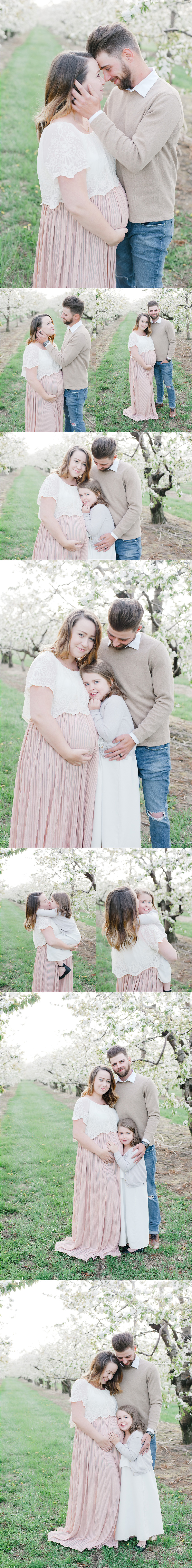 beautiful family maternity session in the niagara orchards