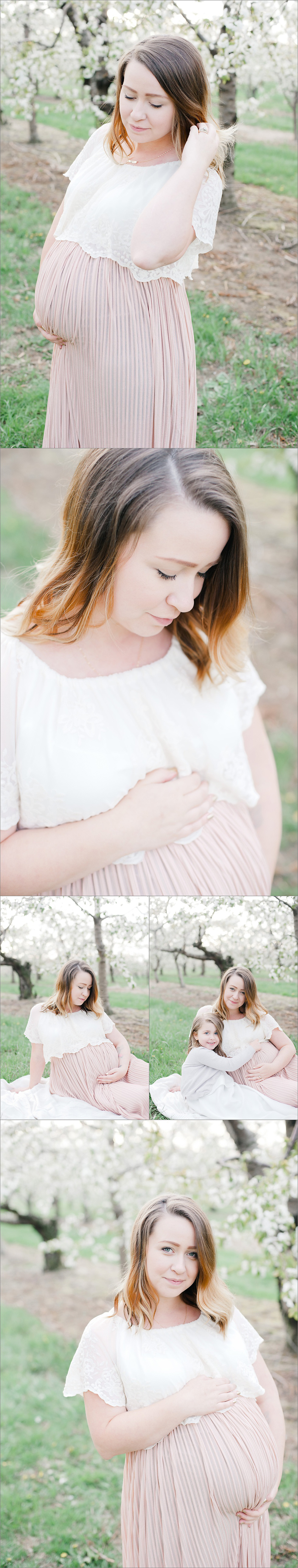 maternity pictures in a pretty orchard in Niagara, ON