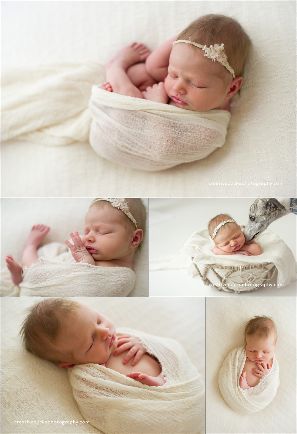 niagara newborn baby photographer
