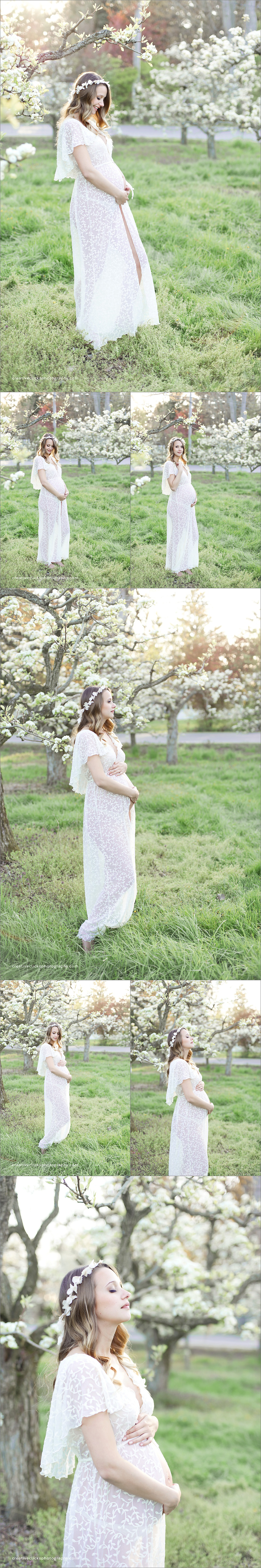 gorgeous maternity session in Niagara's flowering orchards